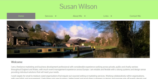 Susan Wilson Writing Services